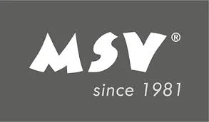 MSV